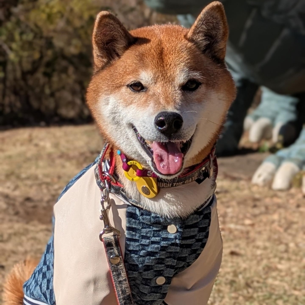 犬(ケン)くん