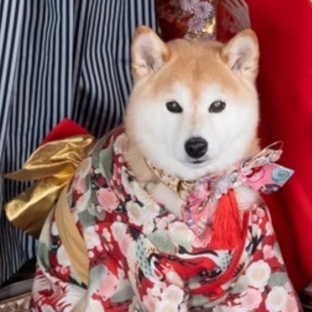 さきちゃん