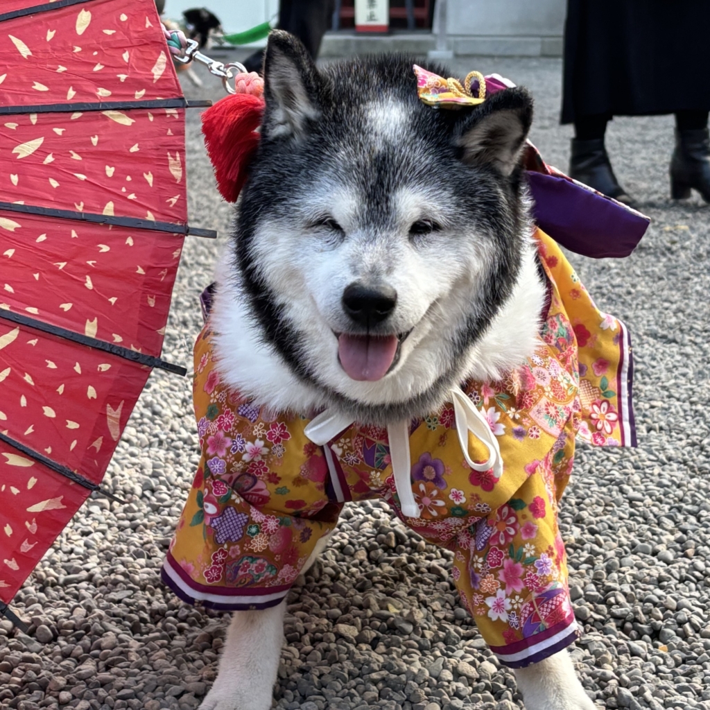チョコちゃん
