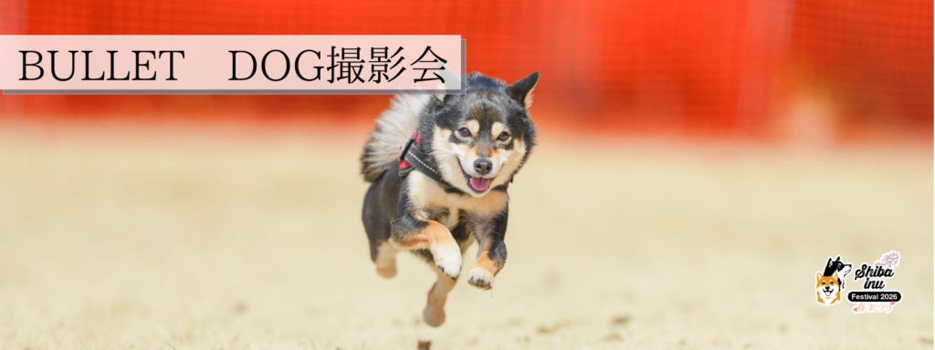 BULLET DOG撮影会