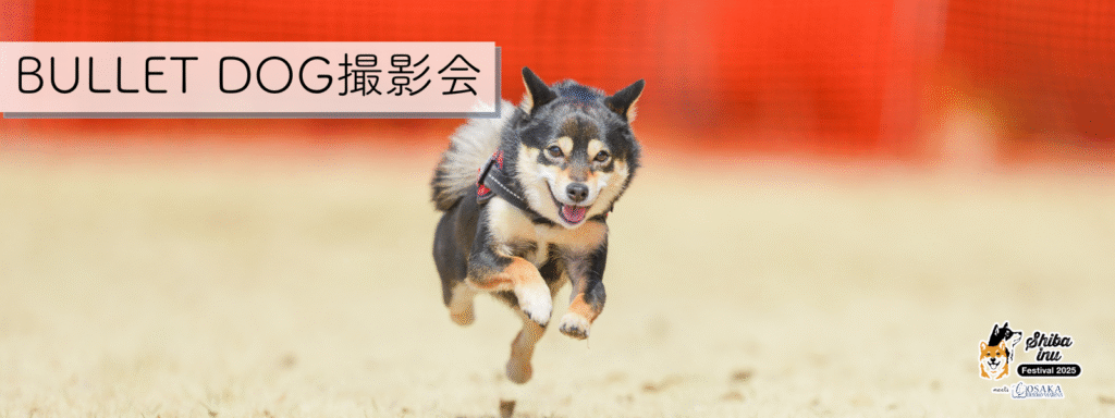 BULLET DOG撮影会