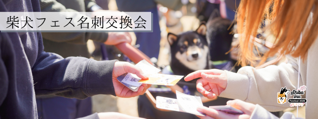 柴犬フェス名刺交換会