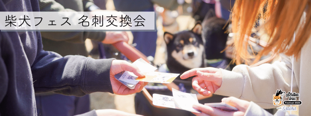 柴犬フェス名刺交換会