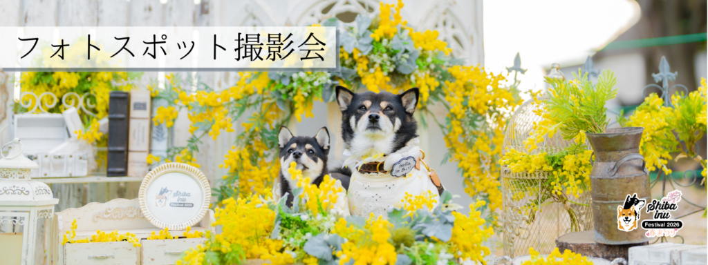 フォトスポット撮影会