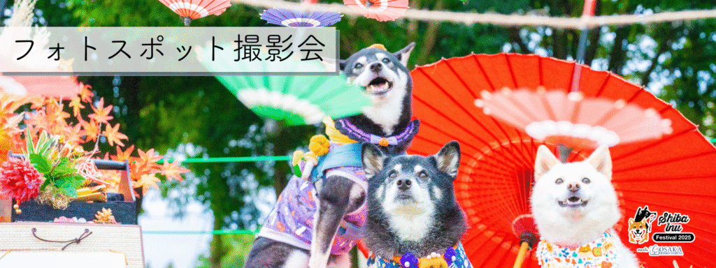 フォトスポット撮影会