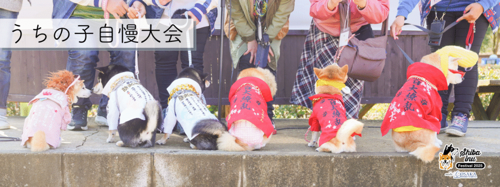 うちの子自慢大会