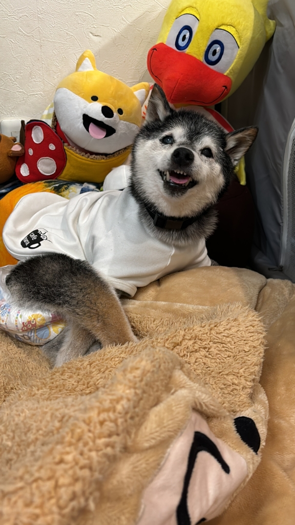 くるみ
