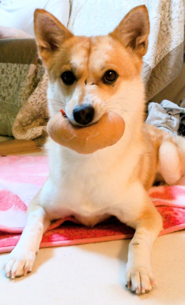 モモちゃん