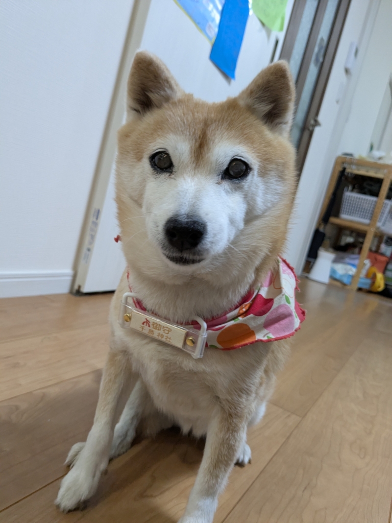 うめちゃん
