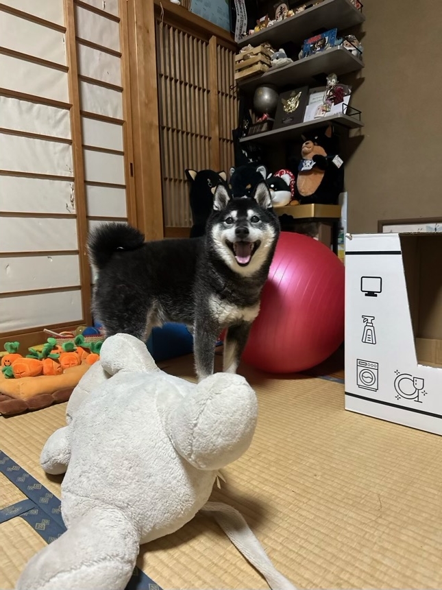 奈良橋　小太郎くん