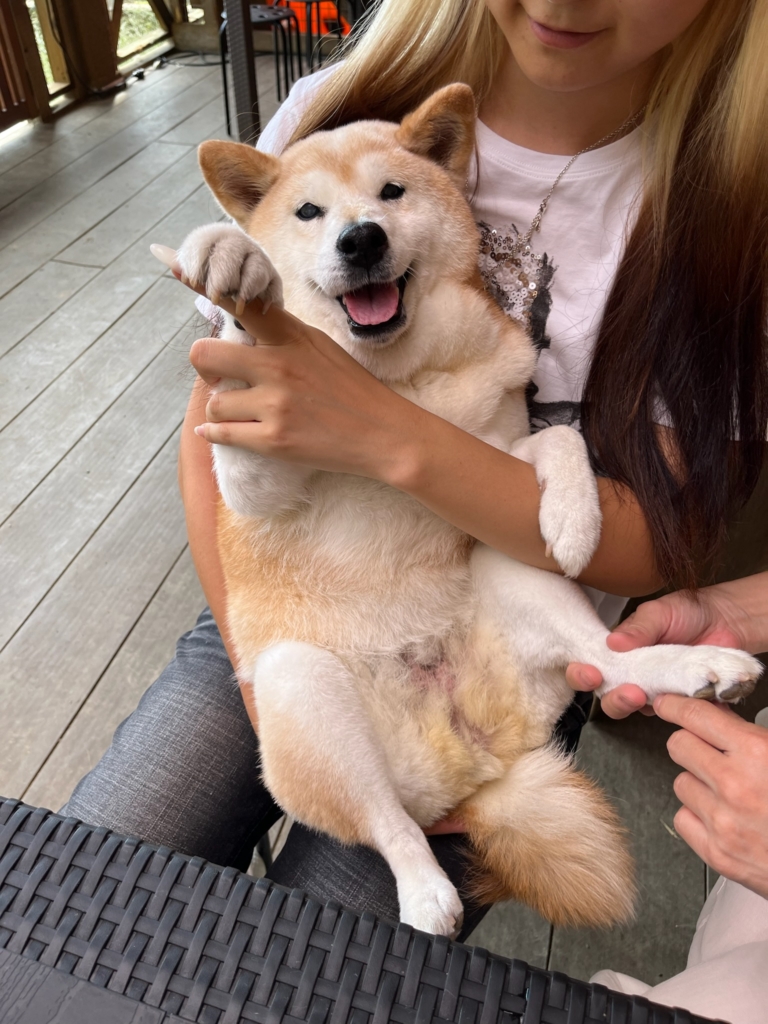 さくらちゃん