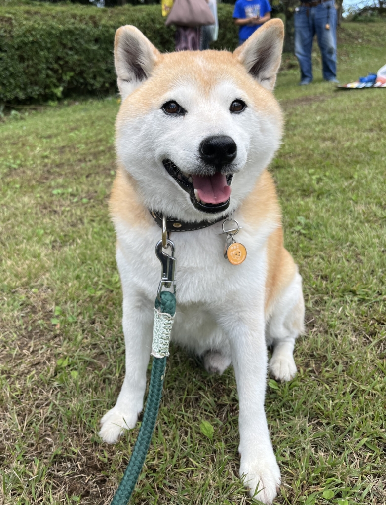 やまとくん