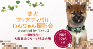 フォトレコペット撮影会