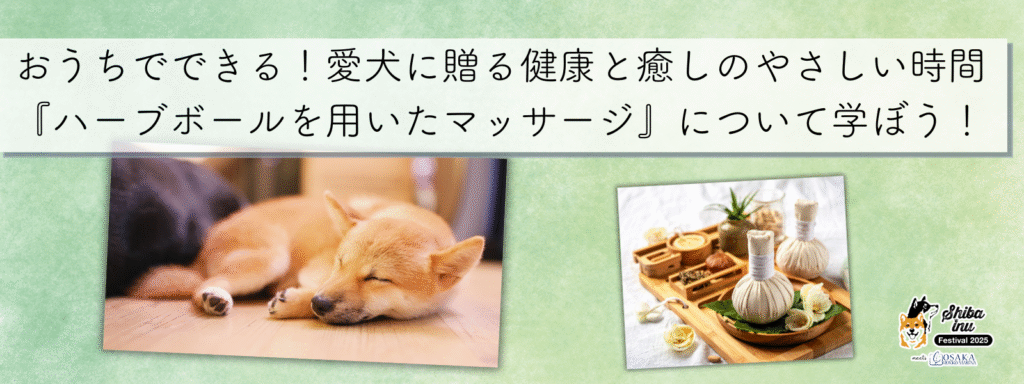 おうちでできる！愛犬に贈る健康と癒しのやさしい時間『ハーブボールを用いたマッサージ』について学ぼう！